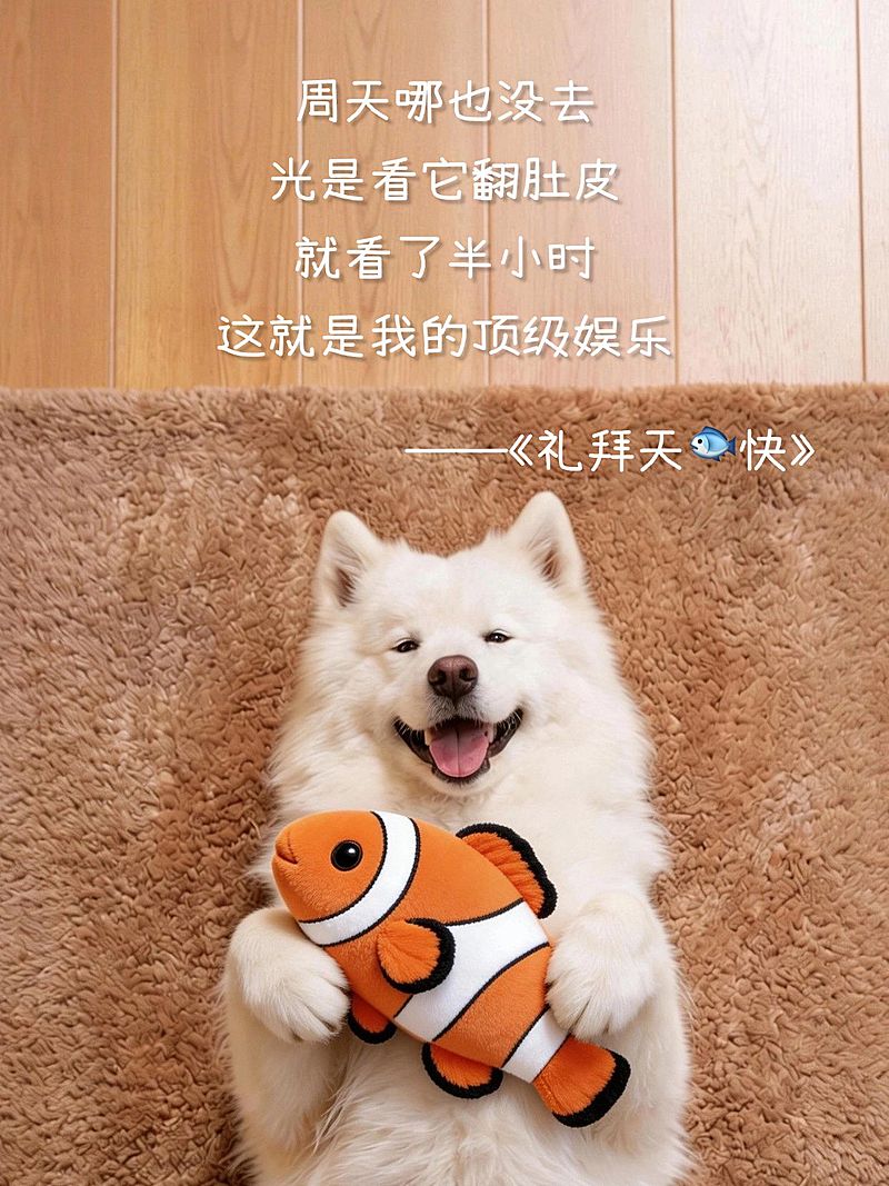 一周plog电子手账周天诗歌文字宠物宅家