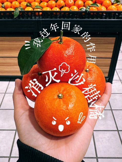 春节plog随手拍砂糖橘预览效果
