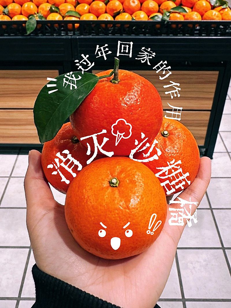 春节plog随手拍砂糖橘