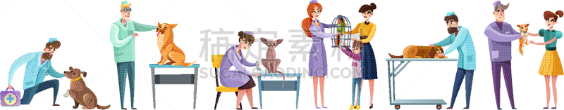 兽医,华丽的,健康保健,狗,动物,设备用品,鹦鹉,小狗,布置
