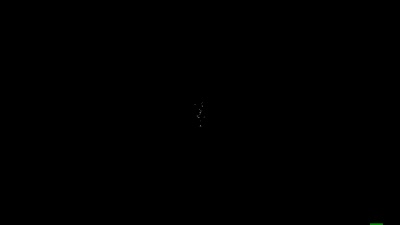 蝙蝠(无光)