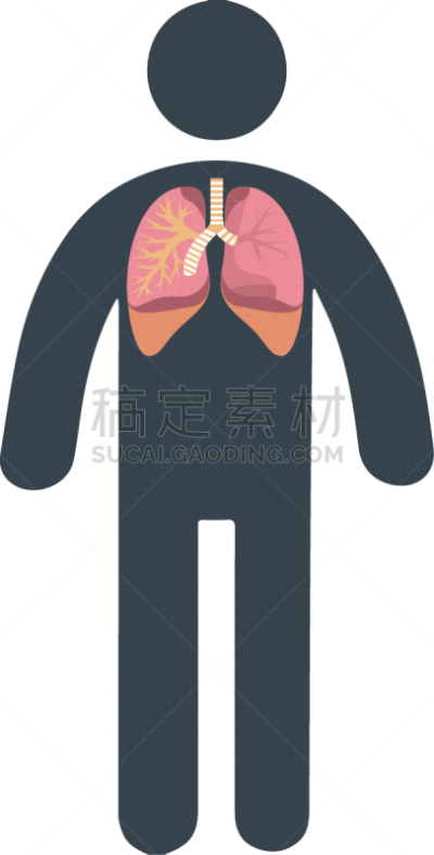 打印单据,分离着色,矢量,健康保健,人,平滑的,图表,枝,设计