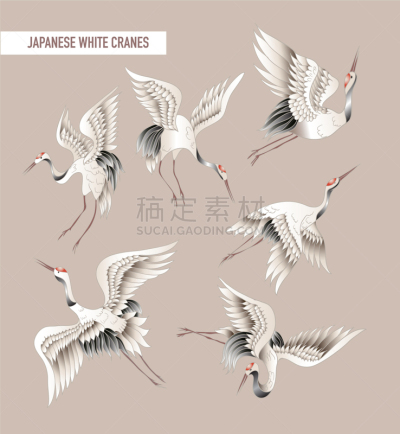 蜡染风格,日本,白色,鹤,式样,传统,纺织品,鹳,自然美