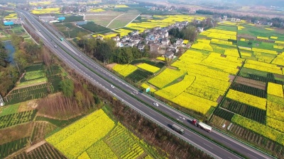 四川中国农村油菜田和公路交通景观鸟瞰， 