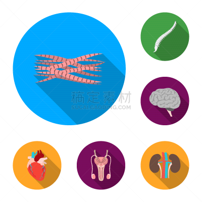 人,平坦的,计算机图标,分离着色,图像,品牌名称,布置,生病,收集
