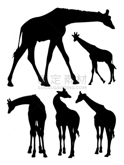 可爱的,动物,长颈鹿,做手势,动物主题,野生动物,狩猎动物,脊椎动物,剪影,站