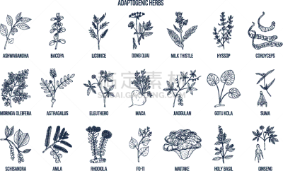 草本,动物手,生物学,自然,健康保健,甘草糖,环境,图像,玛咖,绘制