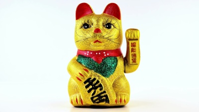 欢迎猫