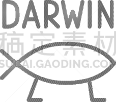 鱼类,线图标,达尔文,生物学,商务,健康保健,设备用品,进化,剪影