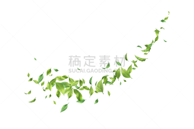 叶子,绿色,风,环境,环境保护,天气,枝繁叶茂,春天,植物,背景
