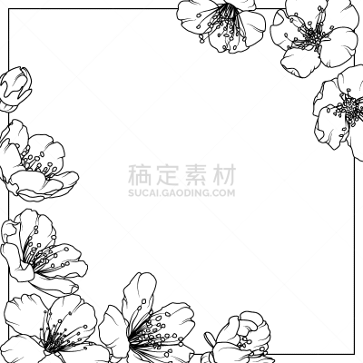 樱桃,樱之花,春天,边框,华丽的,传统,浪漫,壁纸,花,树