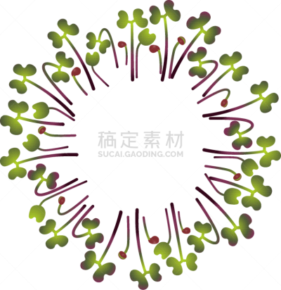 红球甘蓝,蔬菜,素食,清新,维生素,抗炎,植物群,模板,布置,聚集