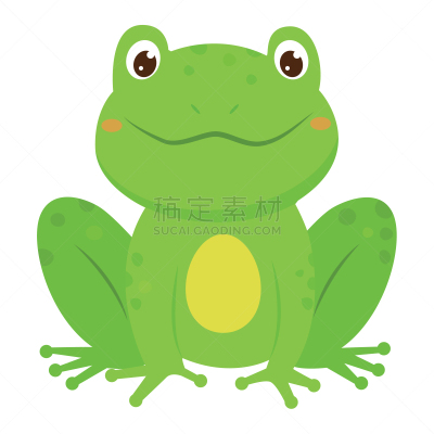 青蛙,绘画插图,卡通,矢量,绿色,时尚,可爱的,背景分离,野生动物,蟾蜍