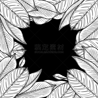 海里康属,叶子,插画,亚洲,自然,热带雨林,浪漫,图像,花朵,装饰