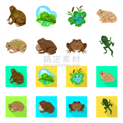 野生动物,分离着色,藓沼,图标集,一个物体,生物学,有毒物质,环境,青蛙,草