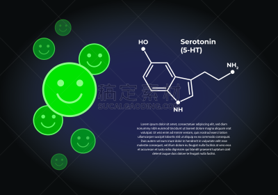 幸福,矢量,羟色胺,科学,荷尔蒙,模板,黑色,教育,设计