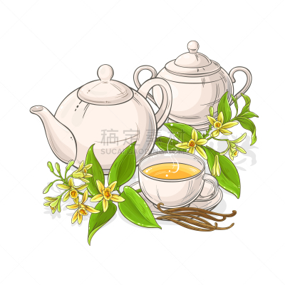 香草兰,茶,白色背景,白色,绿色,自然,图像,矢量,分离着色,复古