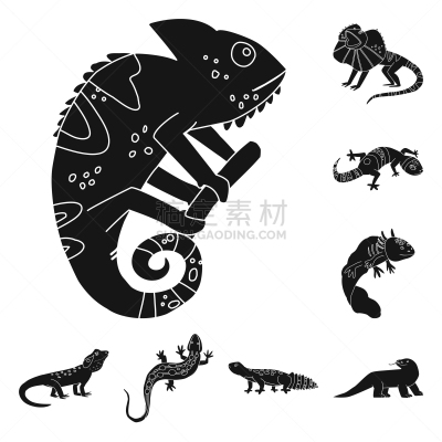 环境,动物园,标志,明亮,黄色,绿色,蓝色,黑色,飘然,收集