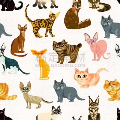 猫,卡通,四方连续纹样,可爱的,纯种犬,浣熊,哺乳纲,缅因州,动物