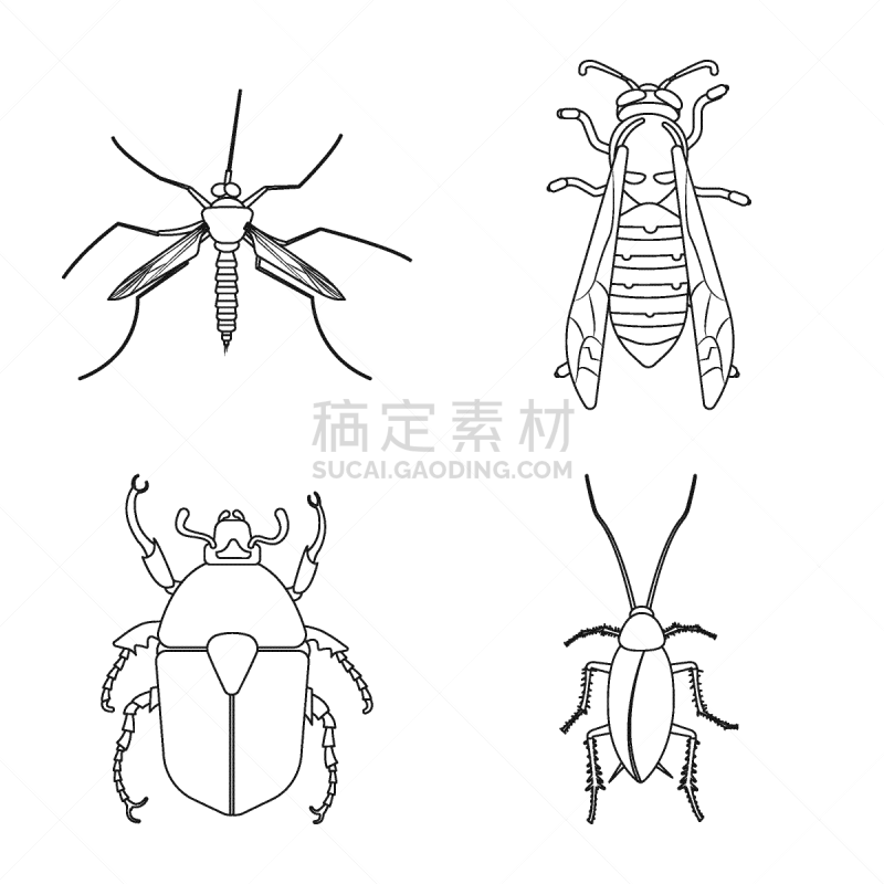 品牌名称,分离着色,昆虫,一个物体,生物学,野生动物,环境,甲虫,飞,布置