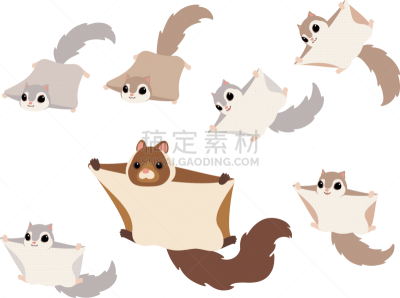 绘画插图,鼯鼠,活力,简单,哺乳纲,动物群,动物,自然,白色背景,米色
