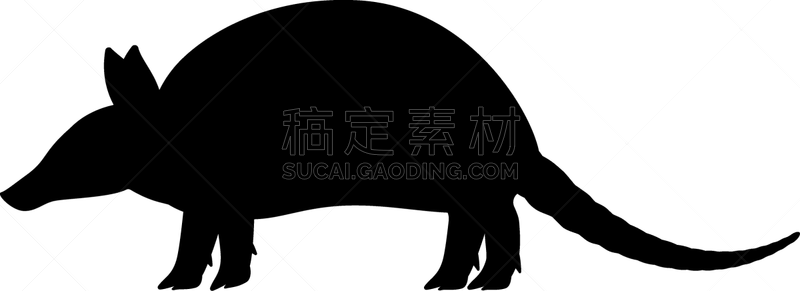 犰狳,黑色,分离着色,轮廓,白色,自然,动物园,盔甲服,野生动物,剪影