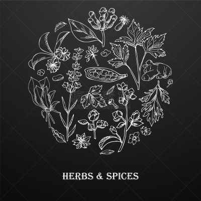 植物群,草图,式样,动物手,贺卡,芳香的,绿薄荷,健康保健,香料,烹调