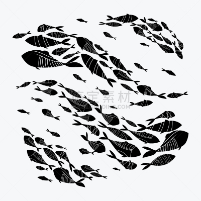 鱼类,海洋,大群动物,组物体,华丽的,环境,丰富,小的,动物,剪影