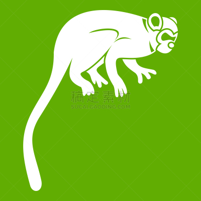 猴子,狨猴,绿色,计算机图标,可爱的,白色,鸡尾酒,自然,动物园,热带雨林