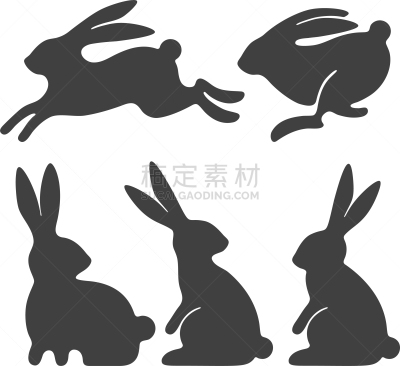 兔子,分离着色,可爱的,宠物,复活节,摆拍,动物,收集,坐