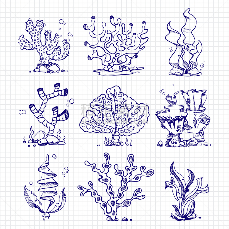 圆珠笔,海草,珊瑚,水下,钢笔画,鸡尾酒,自然,野生动物,图像,海洋
