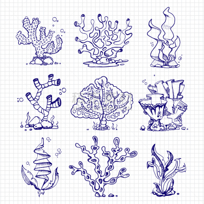 圆珠笔,海草,珊瑚,水下,钢笔画,鸡尾酒,自然,野生动物,图像,海洋