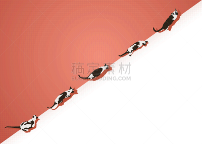 模板,暹罗猫,华丽的,壁纸,自然美,动物,装饰物,设计,思考,坐