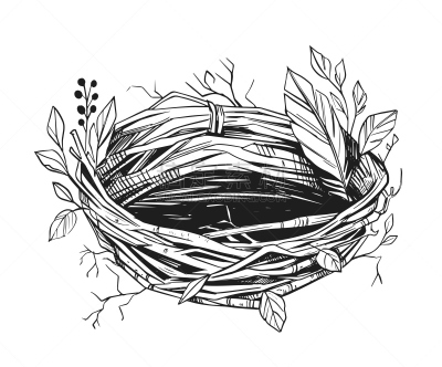草图,绘画插图,矢量,鸟巢,动物手,黑色,透明,复活节,自然界的状态,一个物体