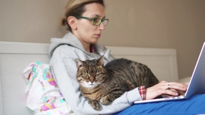 笔记本电脑和猫