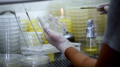 科学家在实验室工作实验