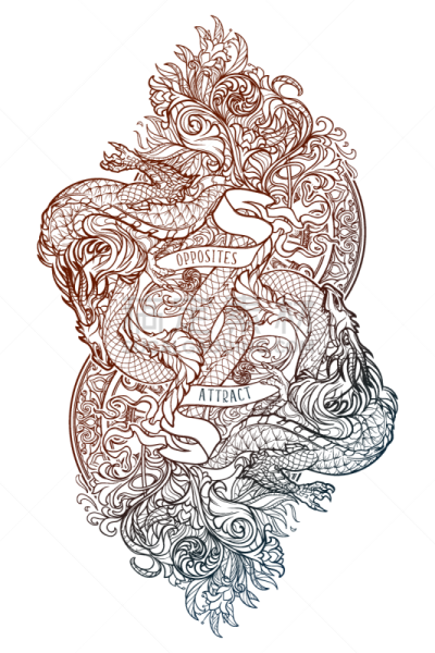 龙,两个物体,秘密,华丽的,阴阳符,车轮,背景分离,热情,动物,爬行纲