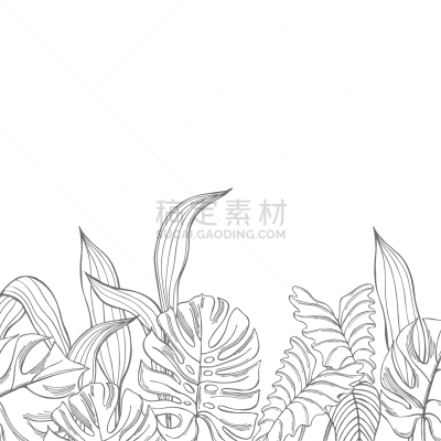 矢量,背景,热带灌木,太平洋岛屿,背景分离,热带气候,干酪藤,枝繁叶茂,春天,植物