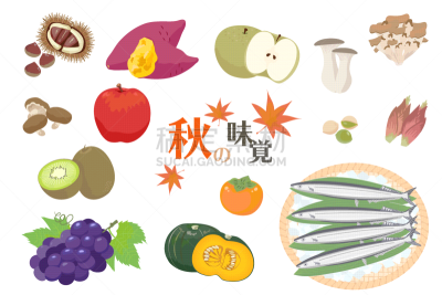 九月,蔬菜,十月,杏鲍菇,食品,简单,银杏,梨,成分,葡萄