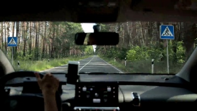 在森林中的双车道道路上行驶的汽车