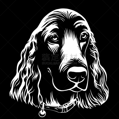 狗,斯班尼犬,动物手,轮廓,肉汁,可卡犬,纯种犬,梗犬,肖像,绘制