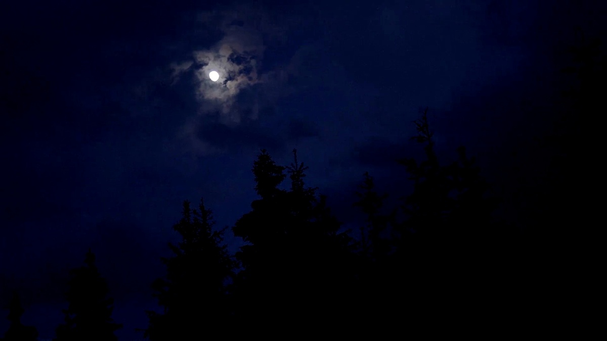 月光 月光图片 月光素材下载 稿定素材