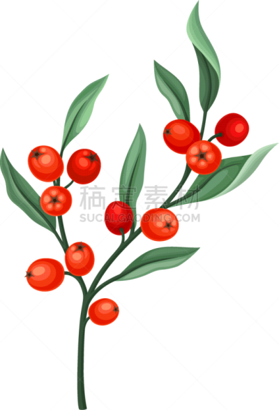 rowanberry twig with green leaves isolated on