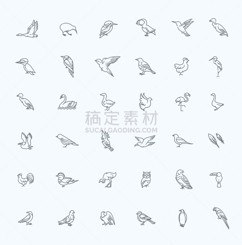 鸟类,反差,可爱的,宠物,自然,动物园,野生动物,图像,天鹅,巨嘴鸟
