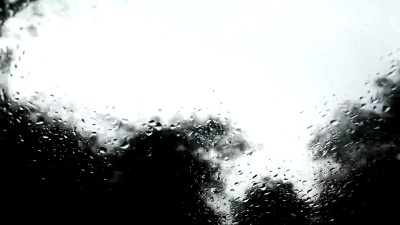 雨季驾车穿过森林