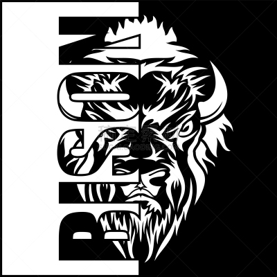 欧洲野牛,白色,黑色,巨大的,有角的,自然,野生动物,图像,复古