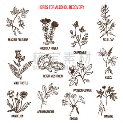 草本,含酒精饮料,红景天,蔷薇属,精力,生物学,环境,健康保健,恢复