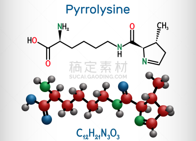 分子,蛋白质,公式,里拉符号,古老的,互联网,氨基酸,模型,扁平化设计,设计