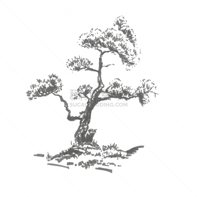 图像,动物手,松树,树荫,夏天,白色,绿色,写实,绘制,树