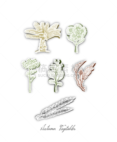 蔬菜,秋天,部落艺术,横截面,瑶族,折纸工艺,菠菜,季节,莴苣,布置